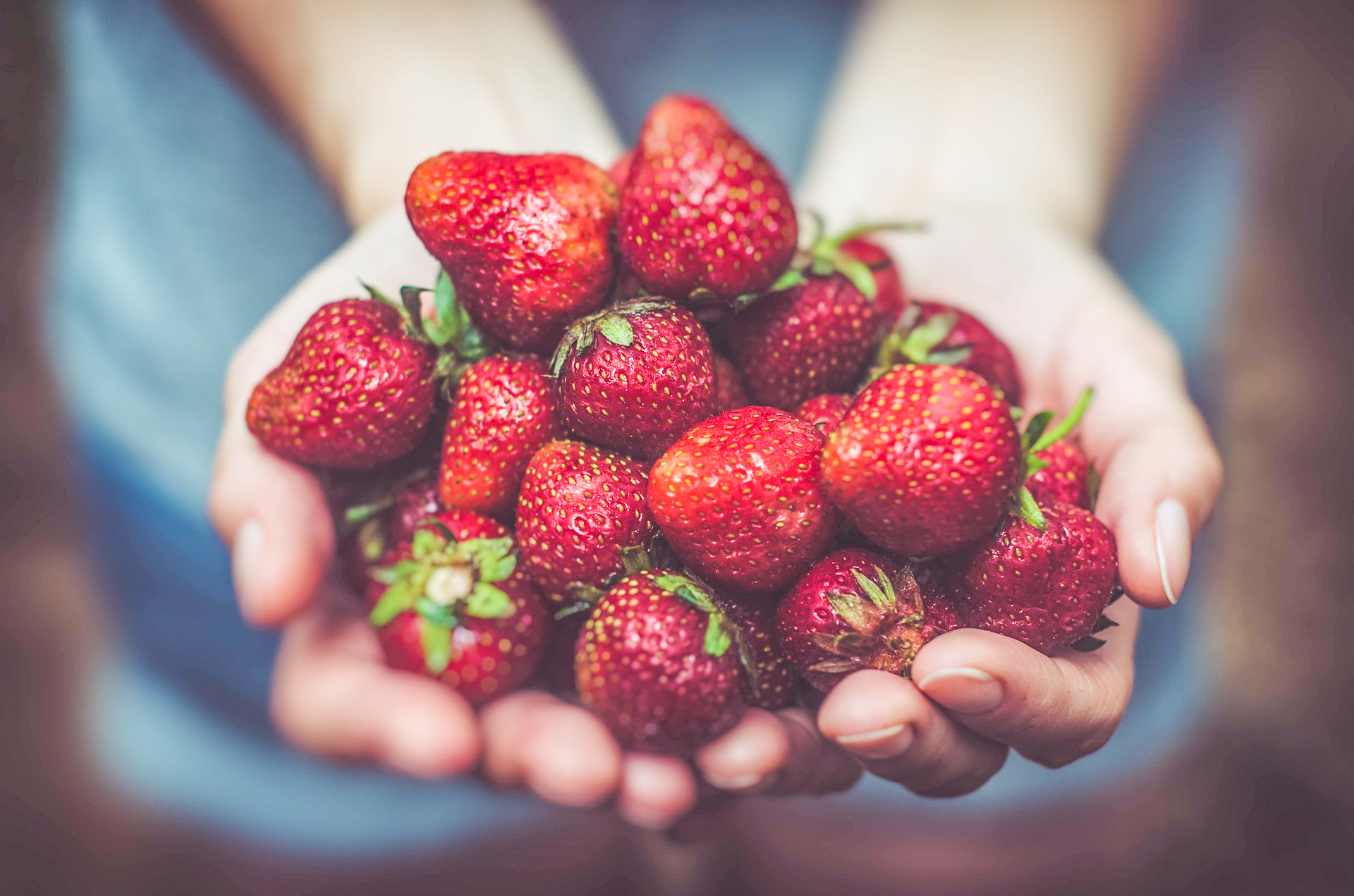 in season strawberries