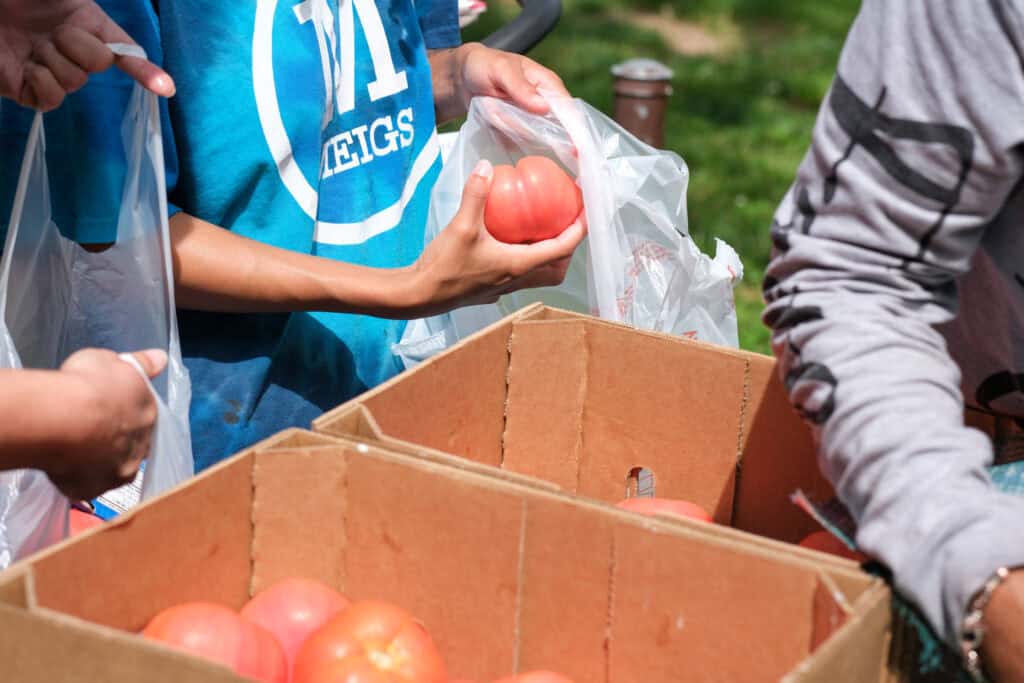 Individuals receiving fresh tomatoes at a food distribution event, highlighting efforts to Add Color to Your Diet on a Budget during National Fresh Fruit and Vegetables Month.