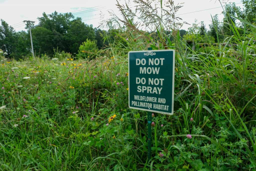 Wildflower and pollinator habitat sign at Local Farm for Hunger Relief, enhancing biodiversity and sustainable farming
