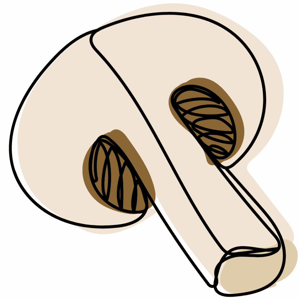 Abstract drawing of a mushroom with a thick stem and rounded cap in beige and brown tones, outlined with black lines and filled with scribbled details.