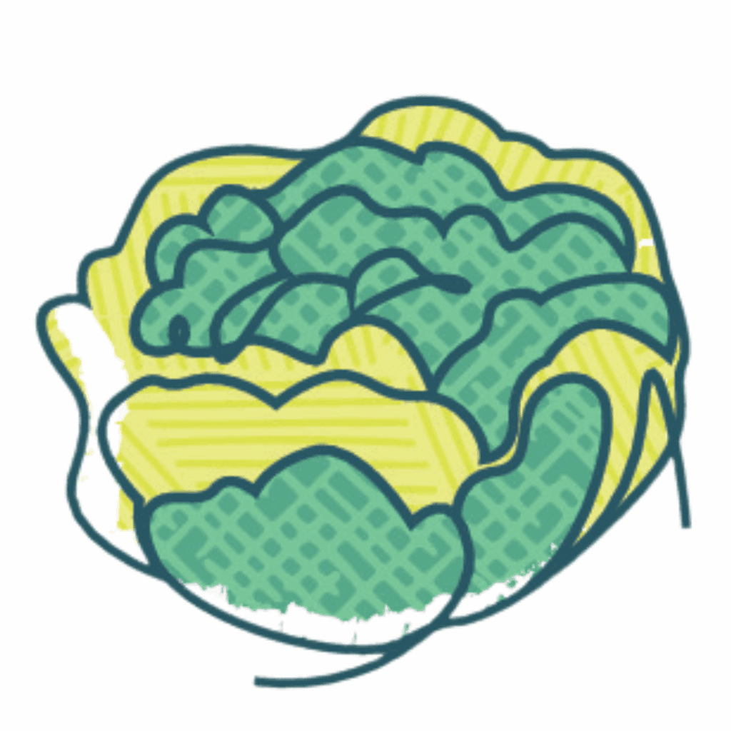 A stylized illustration of a head of lettuce with green and yellow textured leaves.