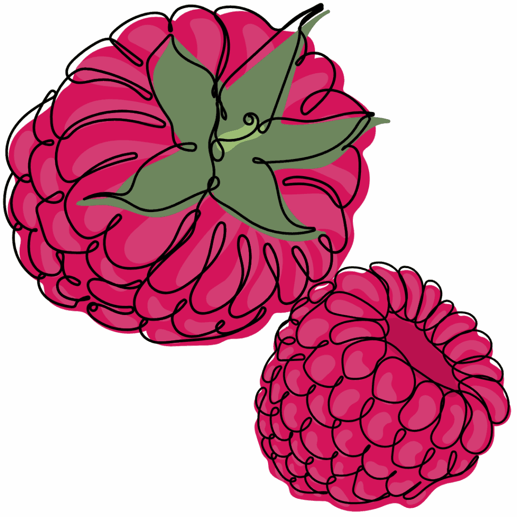 Two hand-drawn raspberries, one shown from above with green leaves, and the other from the side, both featuring vibrant pink-red coloring and bold outlines.
