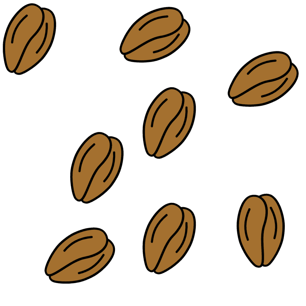 Seven brown coffee beans, each with a central groove and outlined in black, are scattered across a white background.