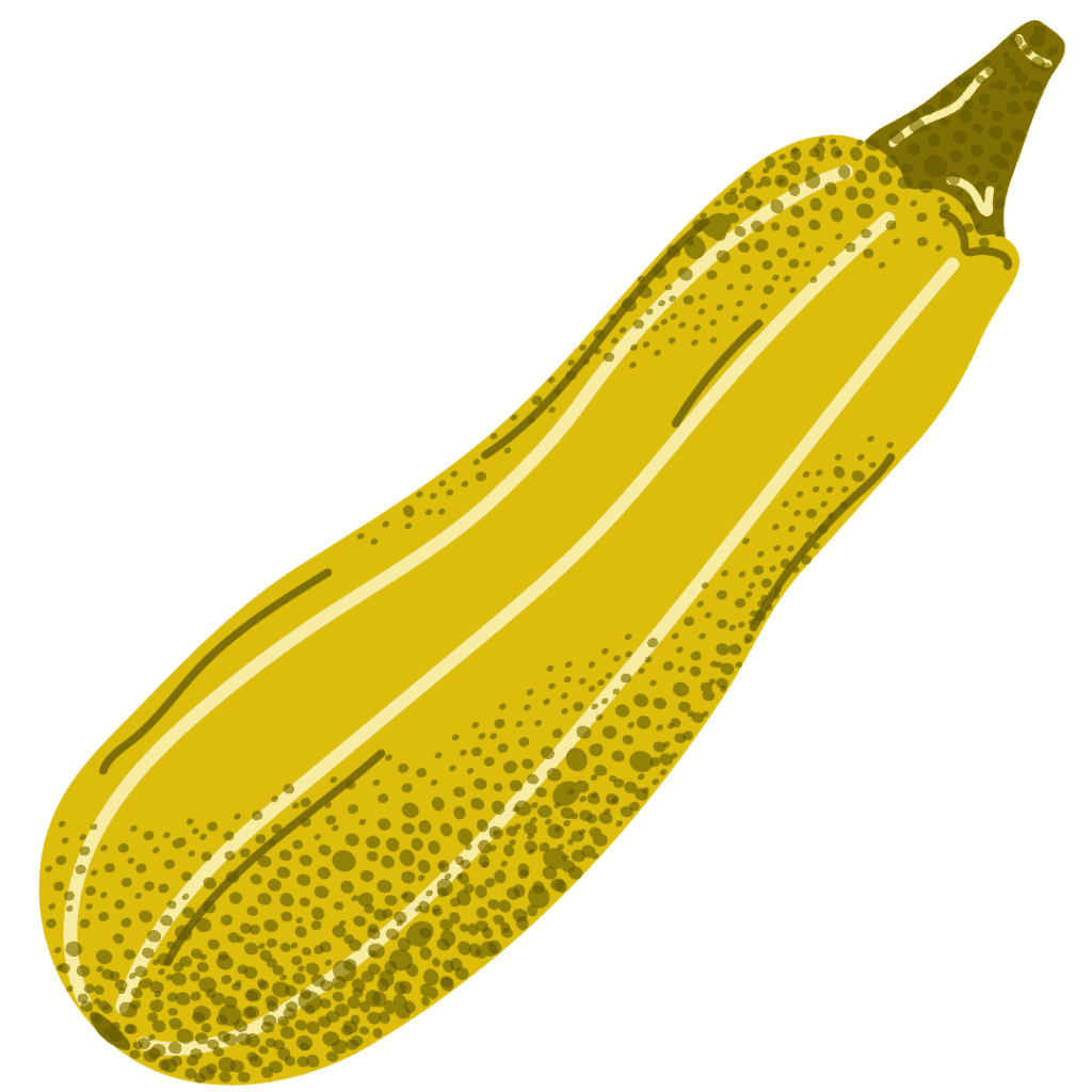 Illustration of a yellow zucchini with a green stem, featuring dotted and lined details to show texture and shading on the vegetable.