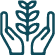 An outline icon of two hands cupping a small plant with several leaves, symbolizing growth, care, or environmental protection.