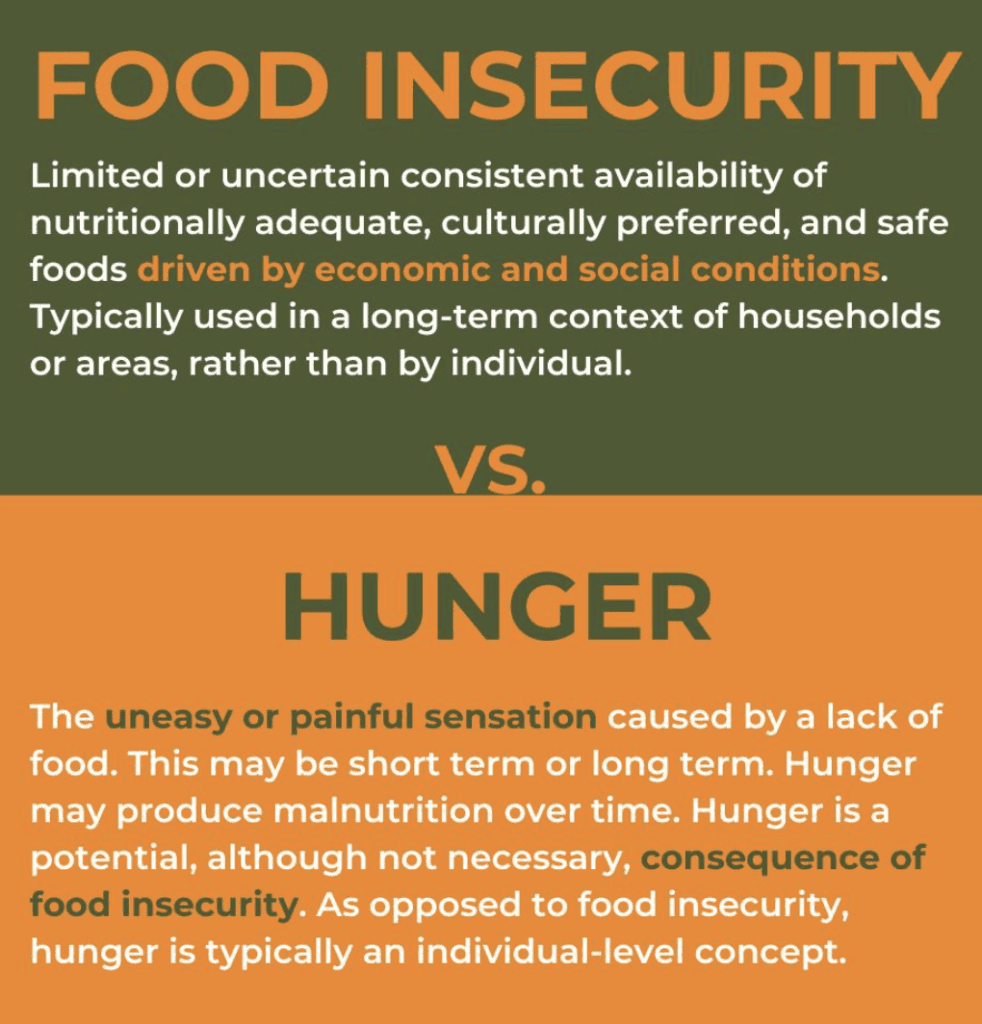 An infographic explains food insecurity and hunger. Food insecurity refers to limited access to safe, nutritious food due to economic or social conditions. Hunger is the uneasy or painful sensation from lack of food.