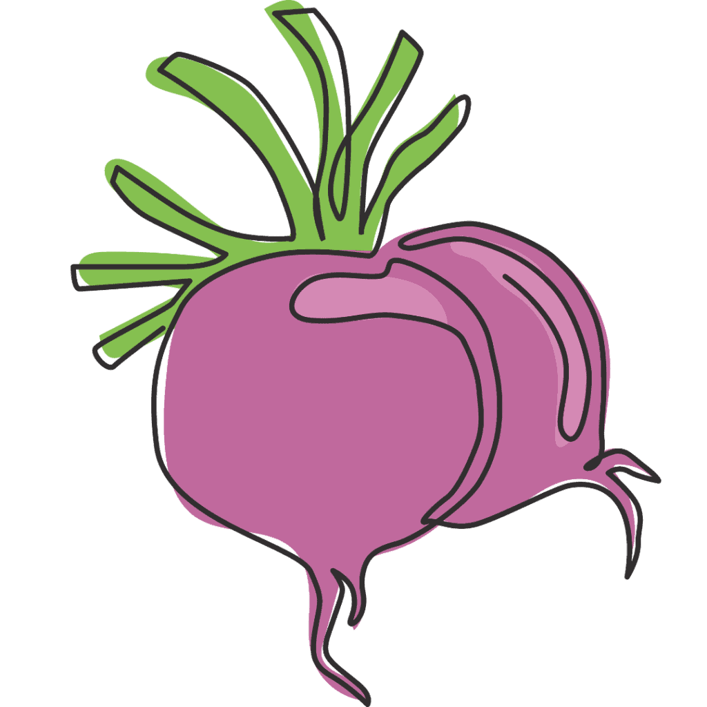A simple illustration of two purple turnips with green leaves, outlined in black, on a light background.