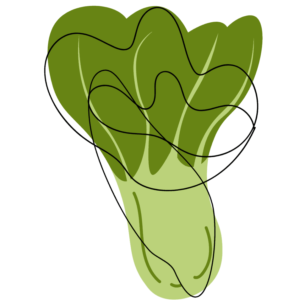 Abstract illustration of a leafy green vegetable, resembling lettuce or bok choy, with overlapping green shapes and a loose, black wavy line drawn across the image.