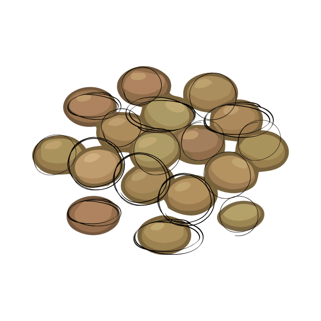 A digital illustration of a cluster of round lentil beans in brown and green shades, outlined with loose black sketch lines, set against a plain light background.