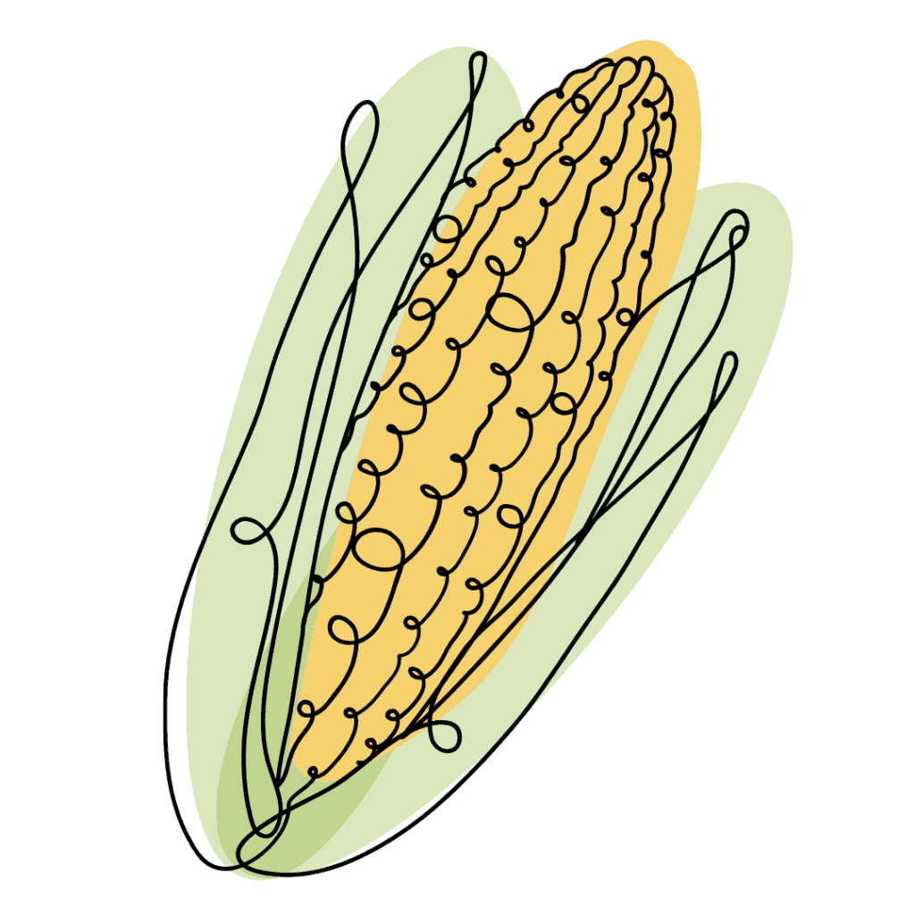A simple, stylized illustration of an ear of corn with green husks, drawn using flowing, continuous black lines and filled with soft yellow and green colors.
