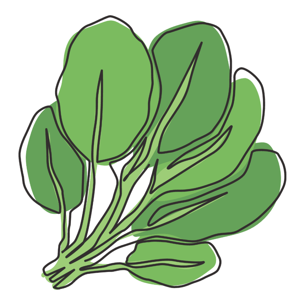 A simple line drawing of a bunch of spinach leaves with varying shades of green on a light background.