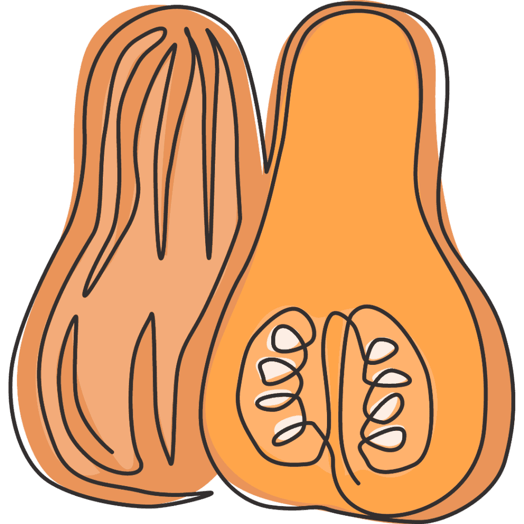 A simple, stylized drawing of two butternut squashes, one whole and one cut in half, showing seeds inside. The illustration uses orange and brown tones with black outlines.